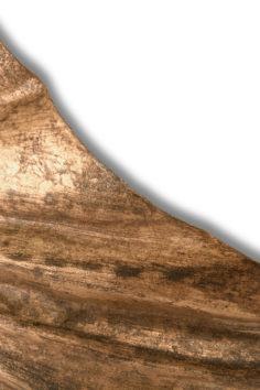 VV_ara_wall_light_6