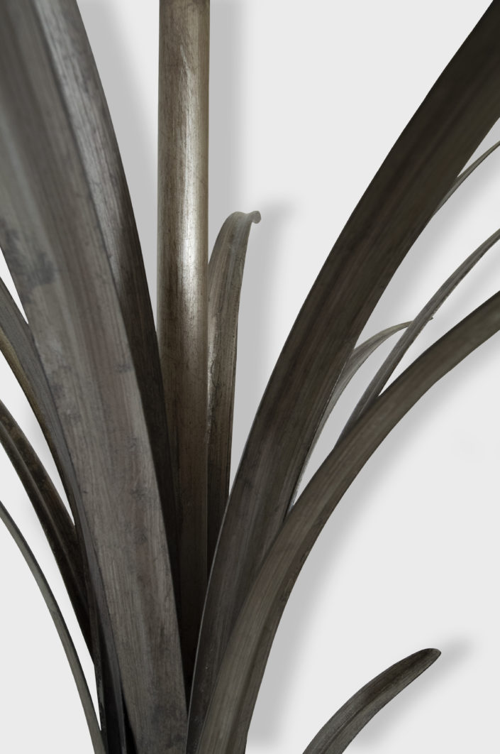 AGAVE_TL_DET2