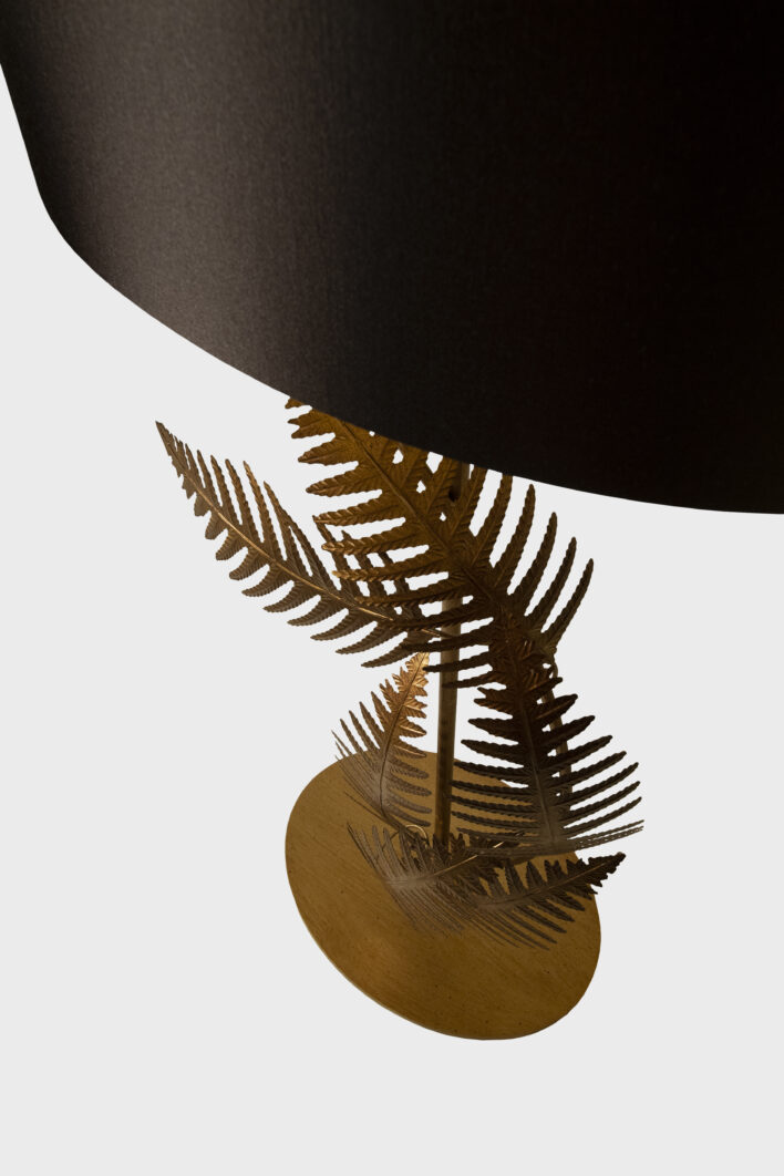 FERN_DET2